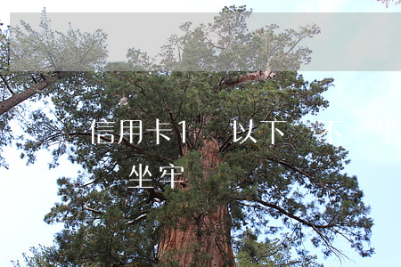 信用卡1萬以下會不會坐牢(欠信用卡一萬元會坐牢嗎)