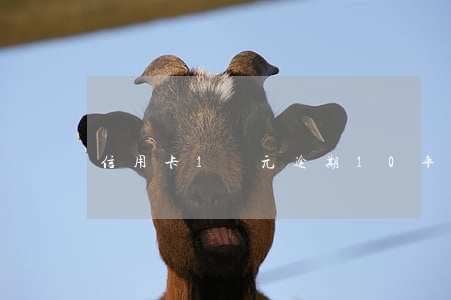 信用卡1萬元逾期10年怎么處理