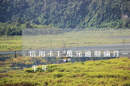 信用卡1萬元逾期倆月(一萬塊錢信用卡逾期半年)