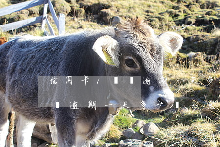 信用卡1萬塊逾期一天多少錢-信用卡1萬塊逾期一天多少錢利息