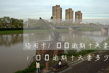 信用卡1萬塊逾期十天要多少利息-信用卡1萬塊逾期十天要多少利息呢