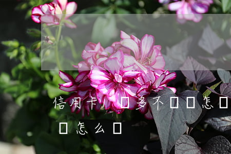 信用卡1萬多不還會怎樣(幾千塊信用卡不還會怎么樣)