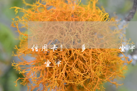 信用卡1萬多沒還會坐牢嗎(信用卡欠一萬多會坐牢嗎)