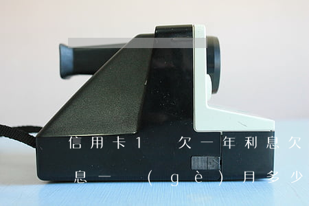 信用卡1萬欠一年利息(欠銀行信用卡一萬利息一個(gè)月多少錢)