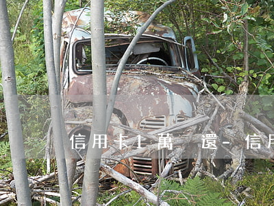 信用卡1萬沒還-信用卡1萬沒還會坐牢嗎