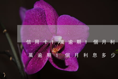 信用卡1萬逾期1個月利息多少-信用卡1萬逾期1個月利息多少錢