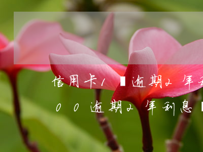 信用卡1萬逾期2年利息多少(信用卡10000逾期2年利息會有多錢)