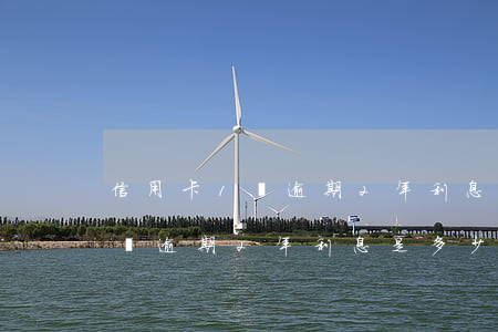 信用卡1萬逾期2年利息是多少-信用卡1萬逾期2年利息是多少錢