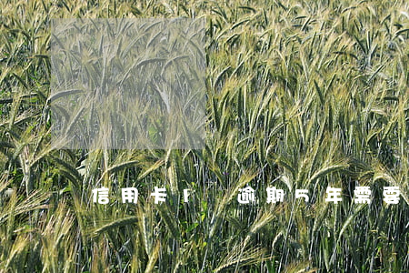 信用卡1萬逾期5年需要還多少錢
