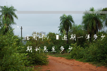 信用卡1萬逾期一年多少錢(一萬多信用卡逾期利息是多少)