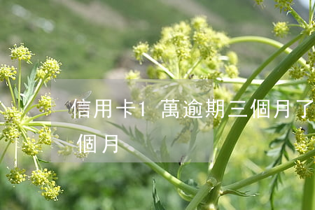 信用卡1萬逾期三個月了 信用卡3千逾期一個月