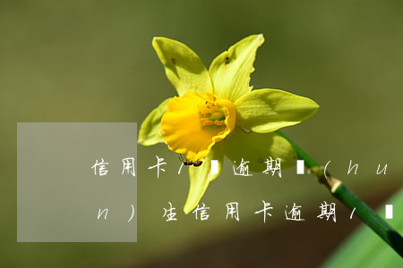 信用卡1萬逾期會(huì)變產(chǎn)生(信用卡逾期1萬一年會(huì)什么結(jié)果)