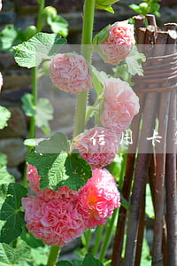 信用卡1萬逾期會坐牢嗎(信用卡欠一萬會坐牢嗎)