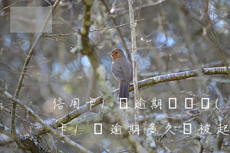 信用卡1萬逾期會變產(chǎn)生(信用卡1萬逾期多久會被起訴)