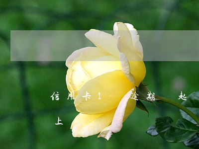 信用卡1萬逾期會起訴嗎（信用卡逾期1w要上訴）