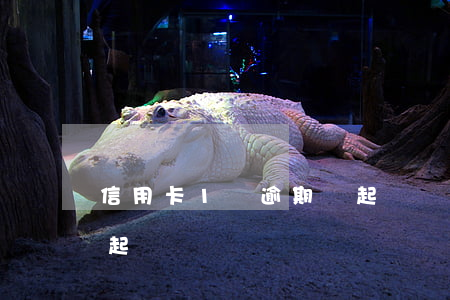 信用卡1萬逾期會起訴嗎(欠信用卡1萬會被起訴嗎)