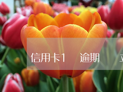 信用卡1萬逾期經偵立案