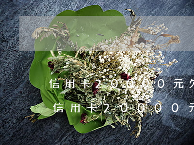 信用卡20000元欠10個(gè)月-信用卡20000元欠10個(gè)月的錢