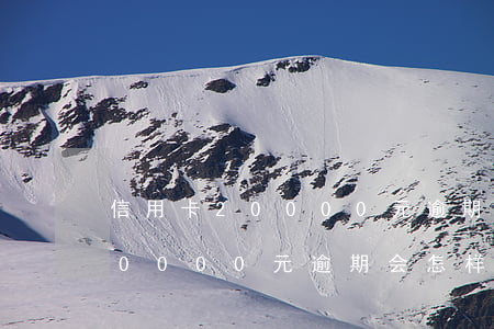 信用卡20000元逾期会怎样-信用卡20000元逾期会怎样处理