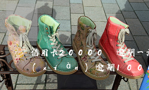 信用卡20000塊逾期一天（信用卡有取現(xiàn)逾期10000）