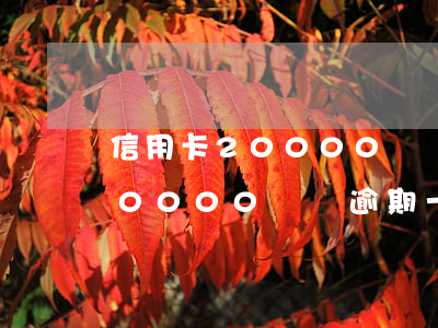 信用卡20000塊錢逾期一年-信用卡20000塊錢逾期一年會怎樣