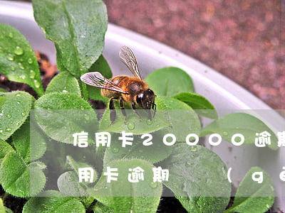 信用卡20000逾期3個(gè)月了（信用卡逾期兩個(gè)月說(shuō)報(bào)警了）