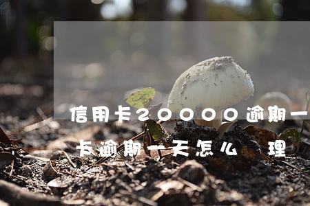 信用卡20000逾期一天違約金（黃金信用卡逾期一天怎么處理）