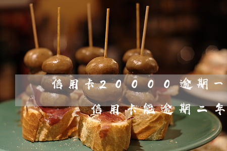 信用卡20000逾期一年多了,還可以坐飛機嗎?（信用卡能逾期二年嗎）