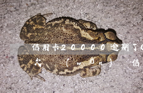 信用卡20000逾期了6個(gè)月-欠兩萬(wàn)塊信用卡,逾期7個(gè)月了