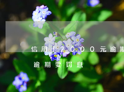信用卡2000元逾期三天罚息多少（信用卡逾期要罚息）
