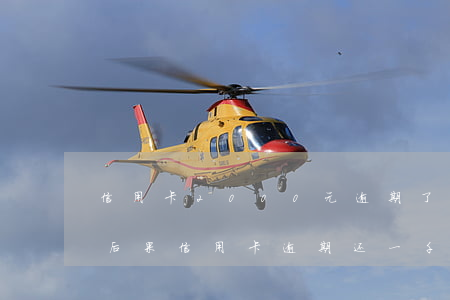 信用卡2000元逾期了半个月才还有什么后果（信用卡逾期还一千元）