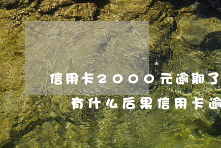 信用卡2000元逾期了半個(gè)月才還有什么后果（信用卡逾期每月還百元怎么辦）