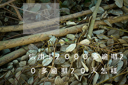 信用卡2000多逾期20天(信用卡2000多逾期20天怎樣)