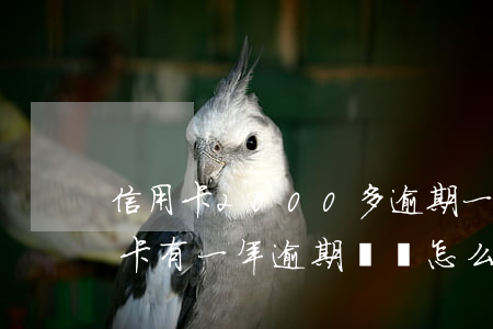 信用卡2000多逾期一年會怎么處理（信用卡有一年逾期記錄怎么辦）