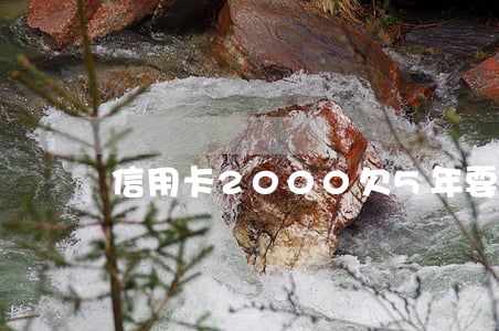 信用卡2000欠5年要還多少-
