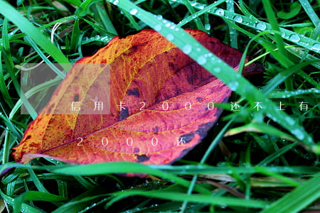 信用卡2000还不上有什么后果（信用卡欠2000还）