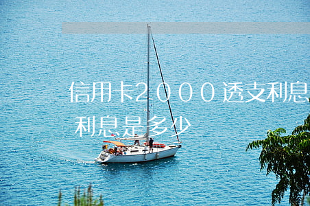 信用卡2000透支利息(信用卡4000千利息是多少)