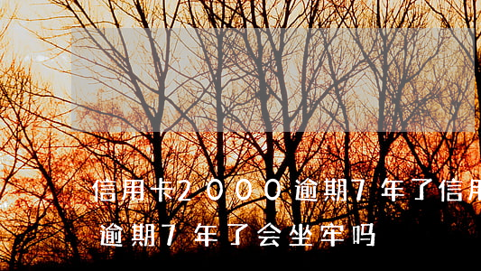 信用卡2000逾期7年了(信用卡2000逾期7年了会坐牢吗)