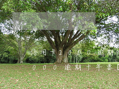 信用卡2000逾期9年要還多少(信用卡2000逾期十年要還多少)