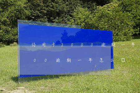 信用卡2000逾期一年怎么辦(信用卡2000逾期一年怎么辦)