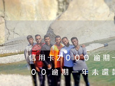 信用卡2000逾期一年未還款(信用卡2000逾期一年未還款)