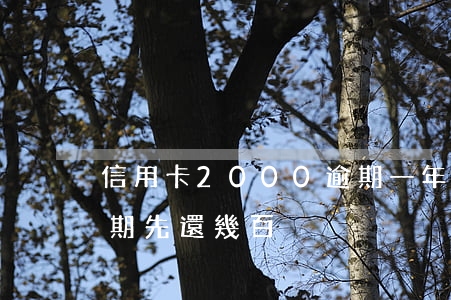 信用卡2000逾期一年要還多少（信用卡逾期先還幾百）