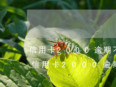 信用卡2000逾期不還會(huì)怎樣(信用卡2000逾期半年起訴了怎么處理)