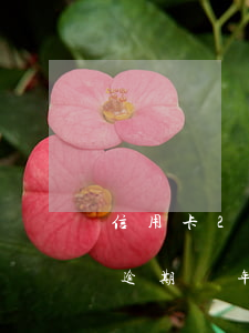信用卡2000逾期了五年(信用卡5000逾期兩年了怎么辦)