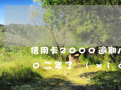 信用卡2000逾期八年(信用卡逾期2000二年了現(xiàn)在要還多少)