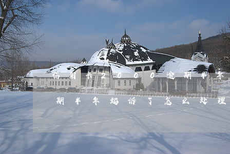 信用卡2000逾期半年(信用卡2000逾期半年起诉了怎么处理)