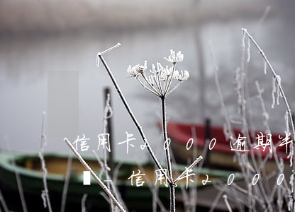 信用卡2000逾期半年會(huì)怎么樣-信用卡2000逾期半年會(huì)怎么樣嗎