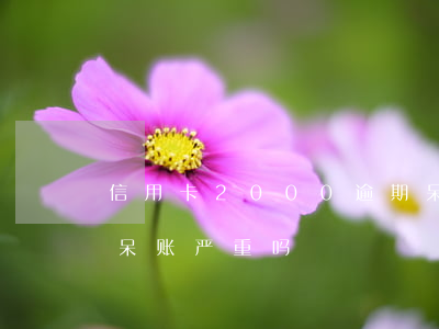信用卡2000逾期呆账了(信用卡5000呆账严重吗)