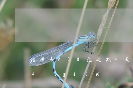 信用卡200元逾期4天(信用卡20元逾期4個(gè)月)