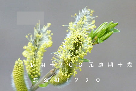信用卡200元逾期十幾天（信用卡逾期3天怎么扣了220）